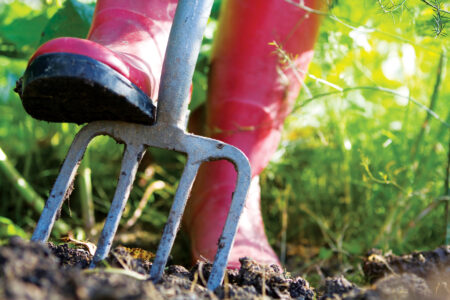 How to Improve Garden Soil Quality with Winter Prep Image